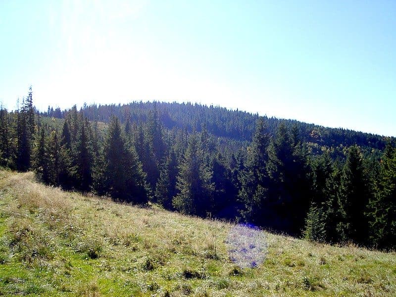 Repisko (Góry Lewockie)