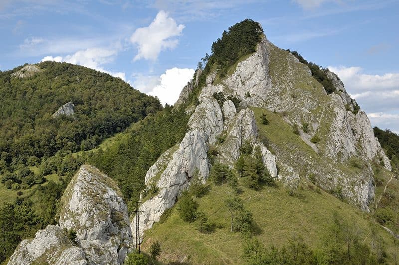 Chmeľová