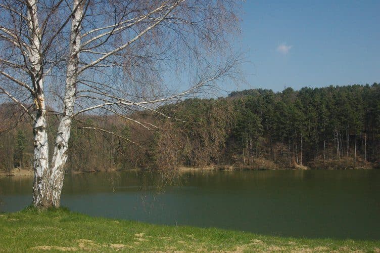 Stará Turá - Veľká Javorina, Holubyho chata