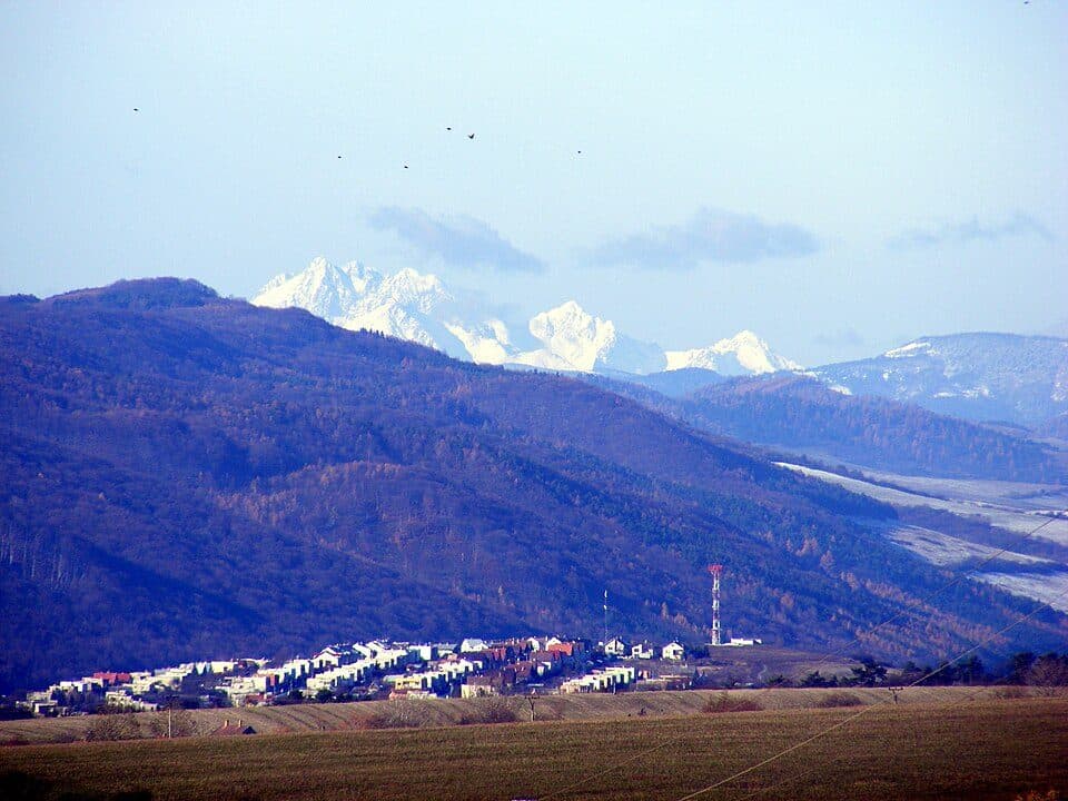 Bachureň