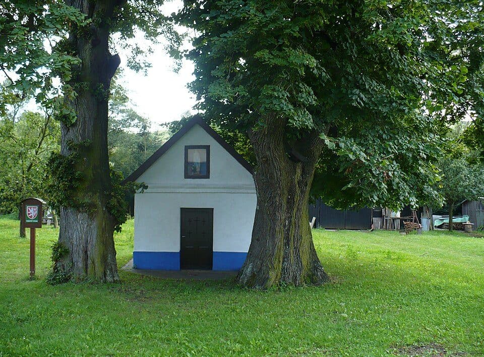Velká Javořina - Pod Kykulou