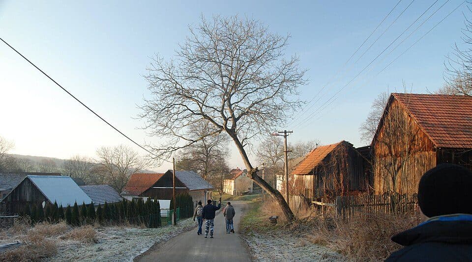[Z] Staré Město - Luhačovice