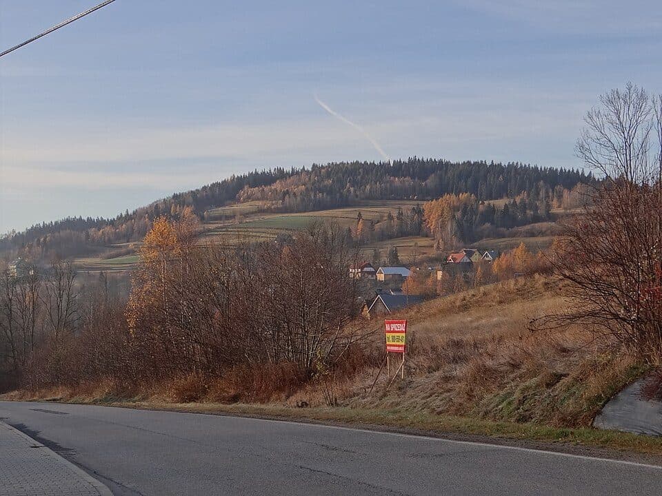 Jasionik