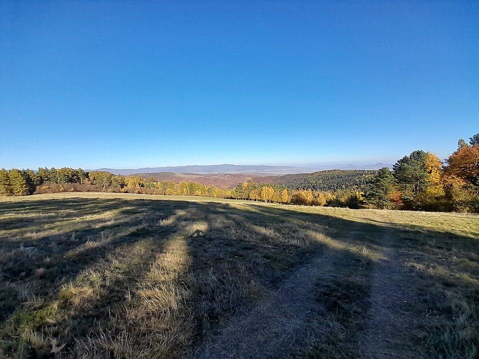 Mindžová
