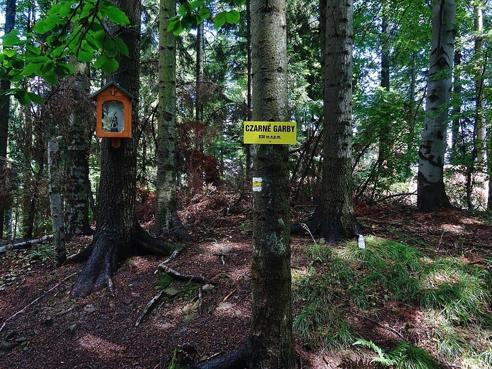 Garby (szczyt)