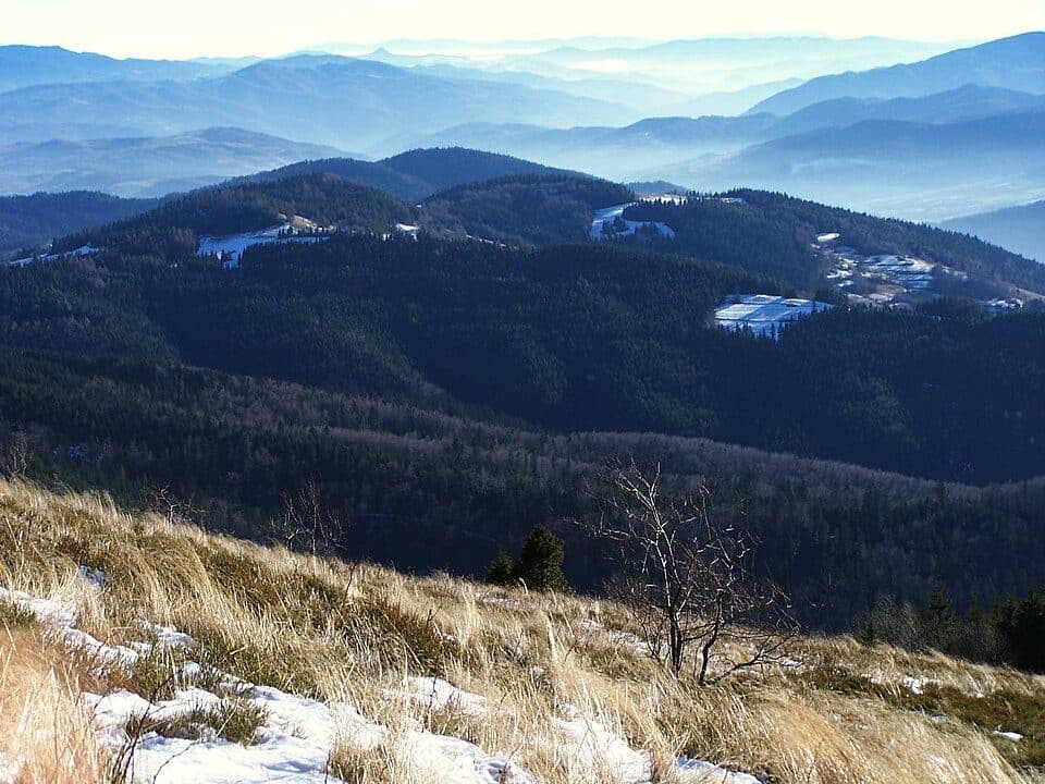 Hala (Beskid Wyspowy)