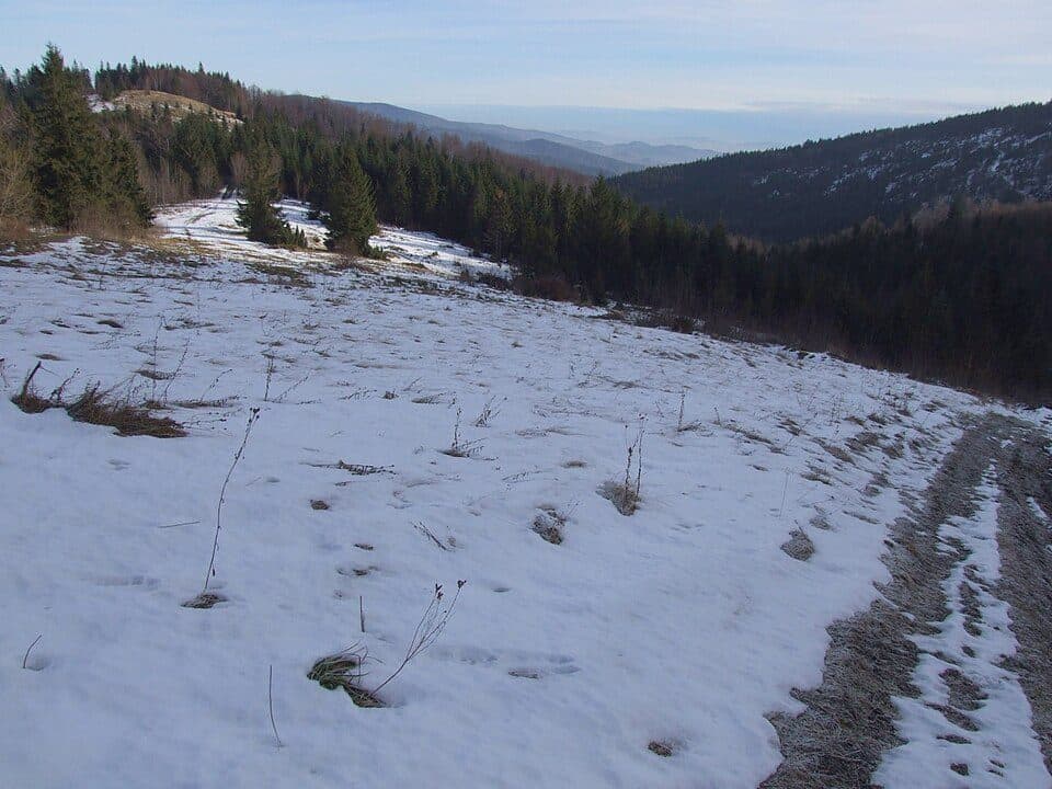 Przełęcz Borek - Rzeki - Hale Gorcowskie