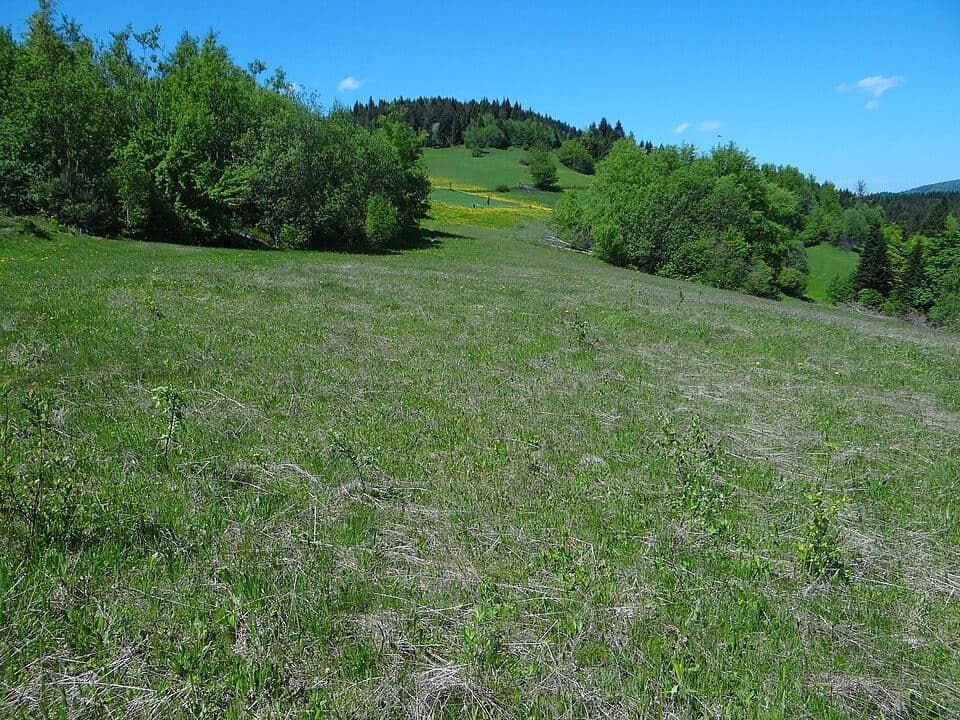Wierch Lelonek — Foto 2