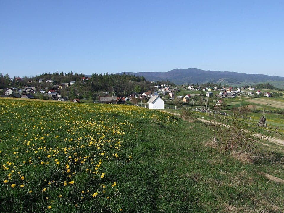 Falsztyn - Przełęcz nad Łapszanką