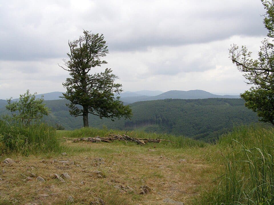 Skalnatá
