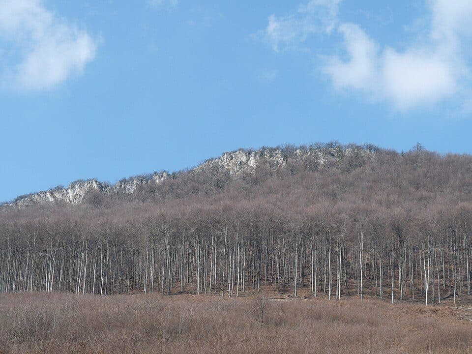 Čierna skala