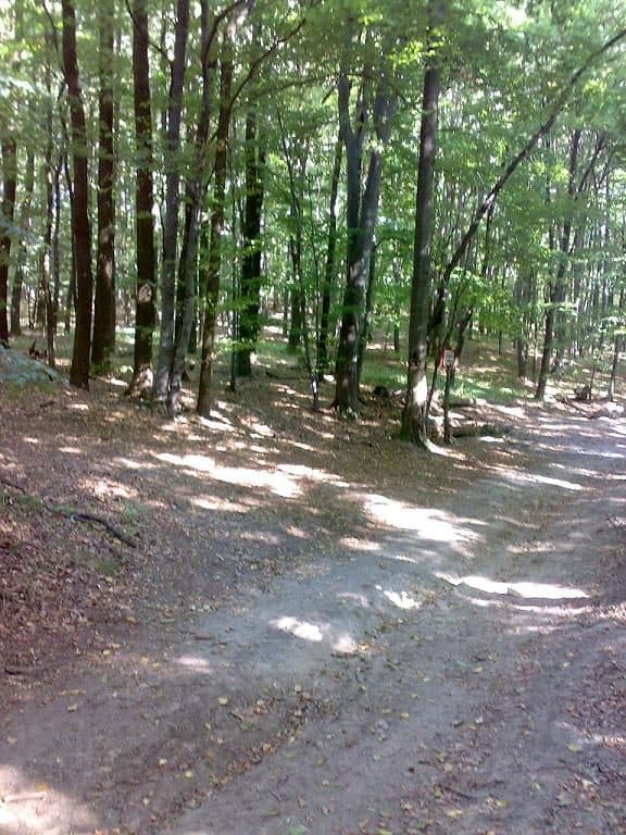 Rača - Rača, okruh