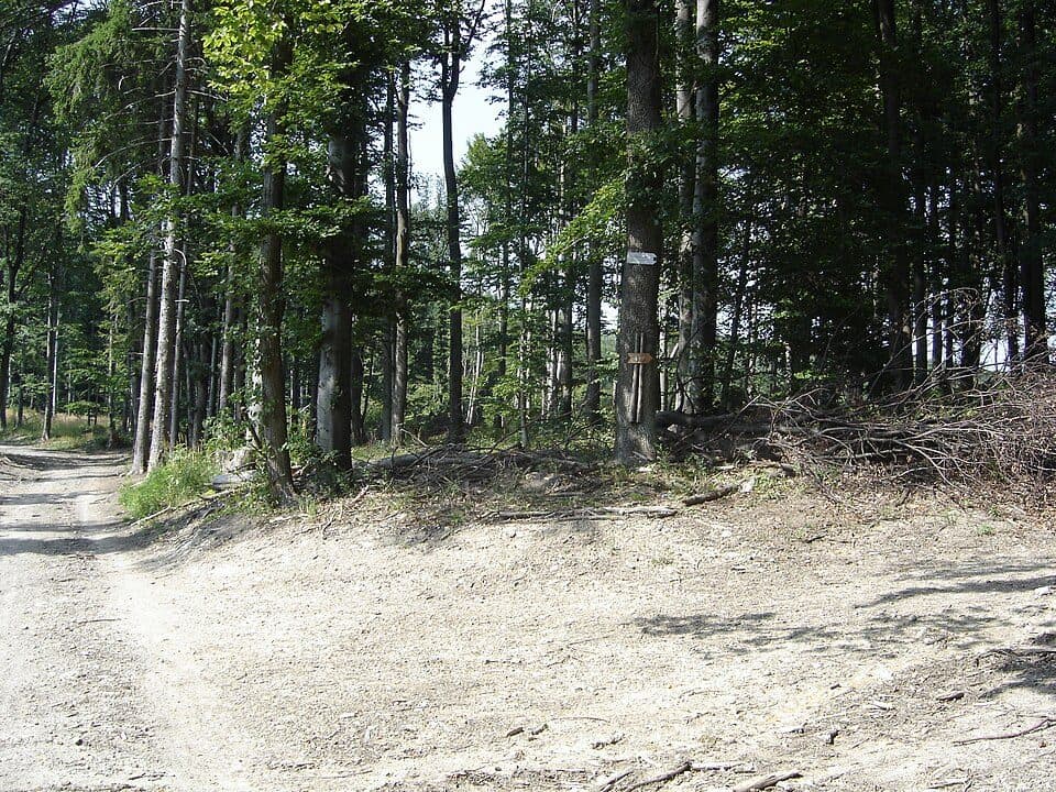 Rača - Rača, okruh