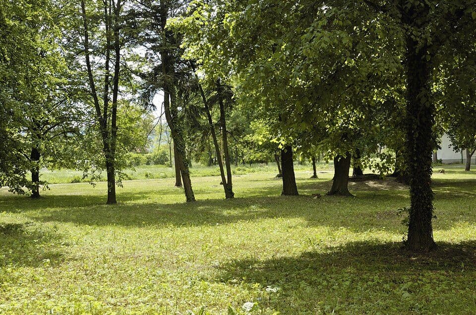Jablonica — zdjęcie 2