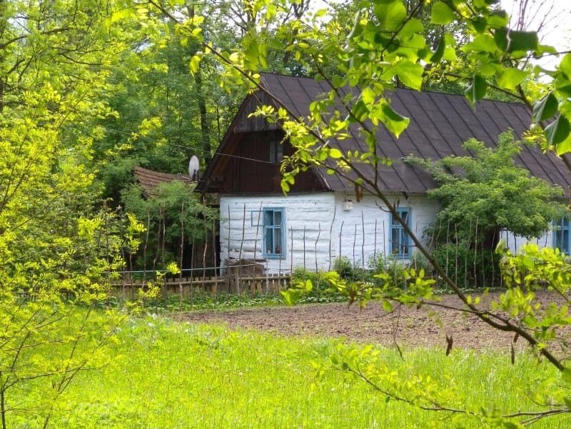 Szczawa - Zbludzkie Wierchy - Kamienica