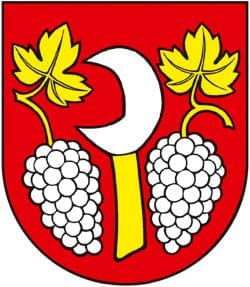 Borová (powiat Trnawa) — zdjęcie 2