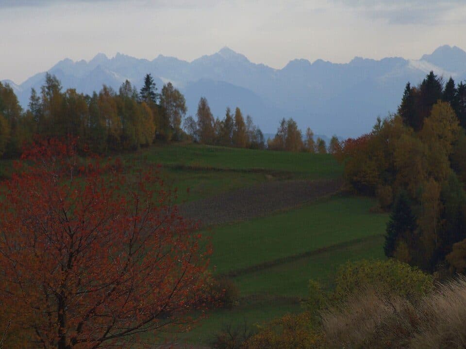 Łopuszna — photo 2