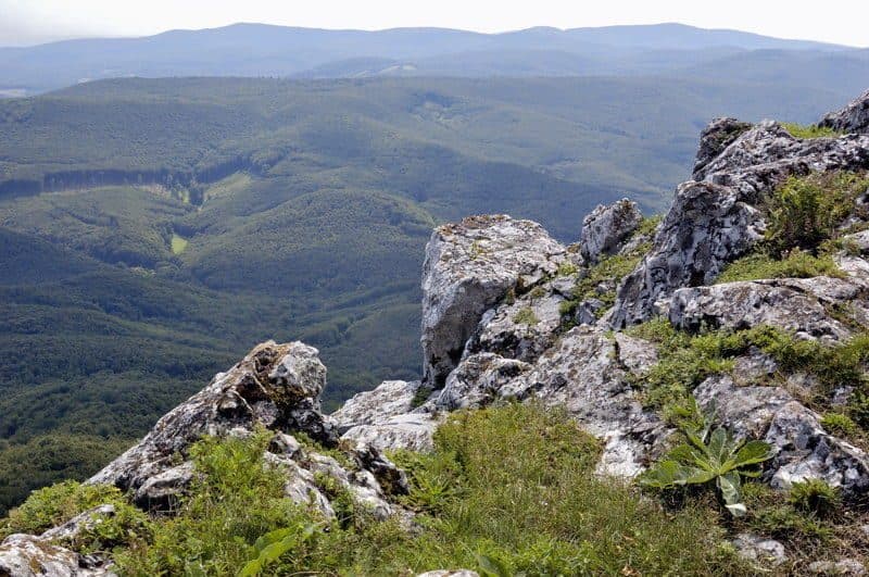 Doľany - Sološnica