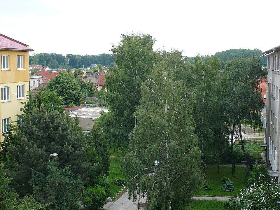 Ivanka pri Dunaji, most - Ivanka pri Dunaji, múzeum