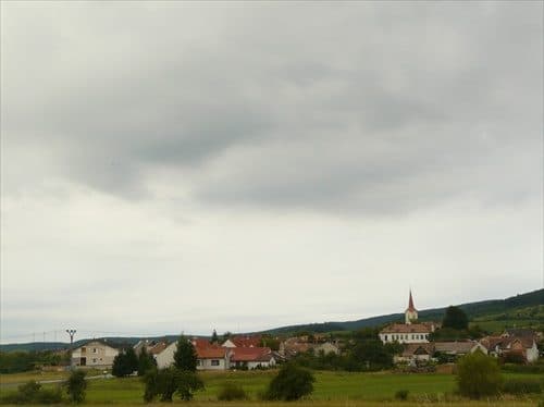 Dubová