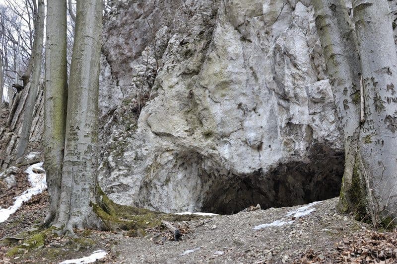 Plavecký Mikuláš - Pod Jeleňou horou
