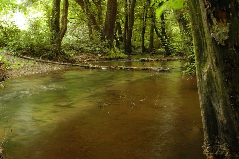 Stupava, Obora, hor. - Pod Dračím hrádkom