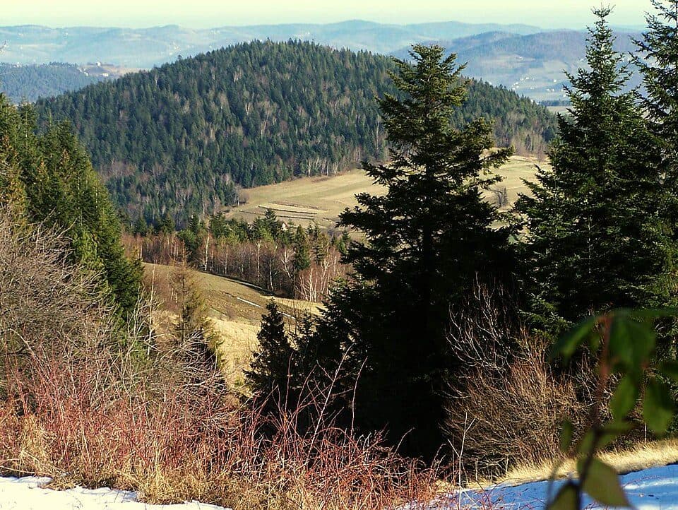 Świerczek (Słopnice)