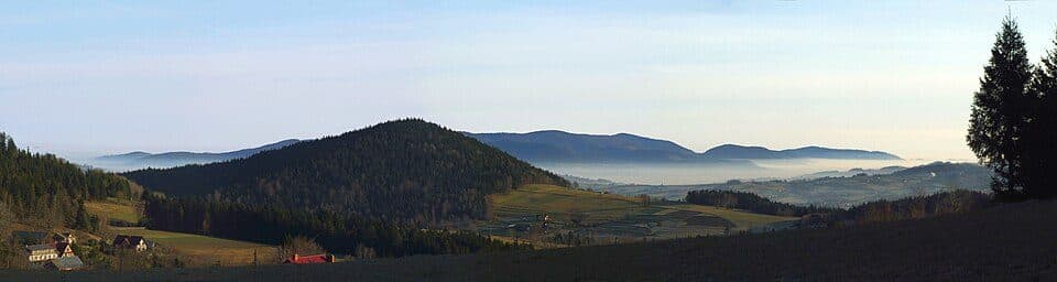 Świerczek — photo 2