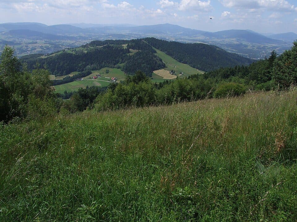 Sałasz Zachodni - Laskowa - przeł. Widoma