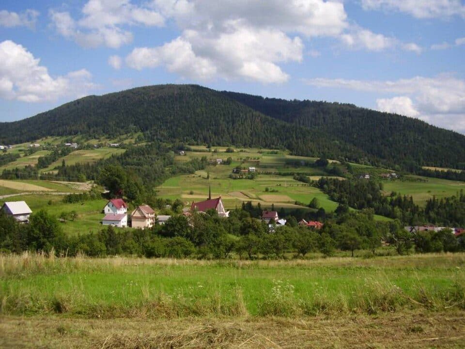Zalesie (powiat limanowski)