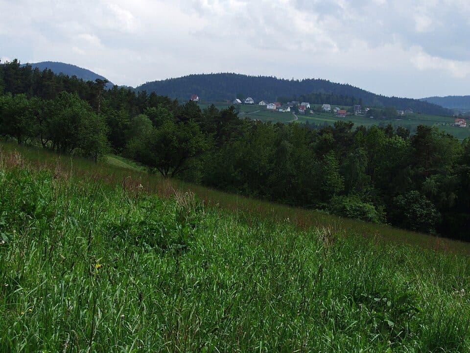 Kuklacz Siekierczyński