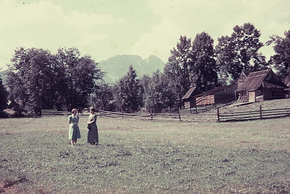 Zakopane - Dzianisz