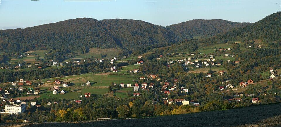 Sarczyn