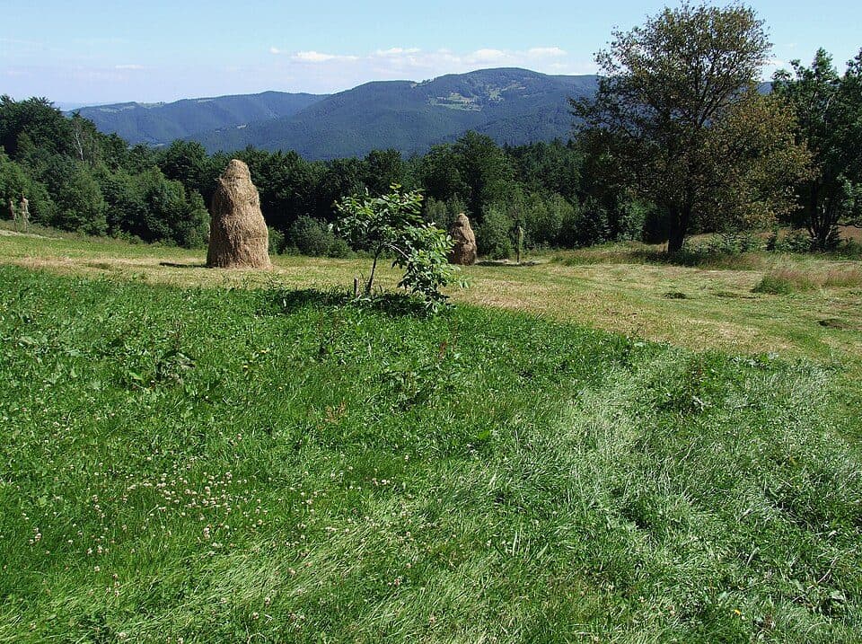 Polana na Kordowcu