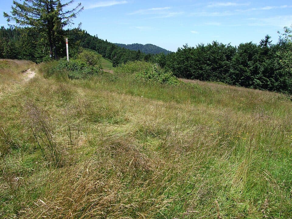 Kramarka (polana)