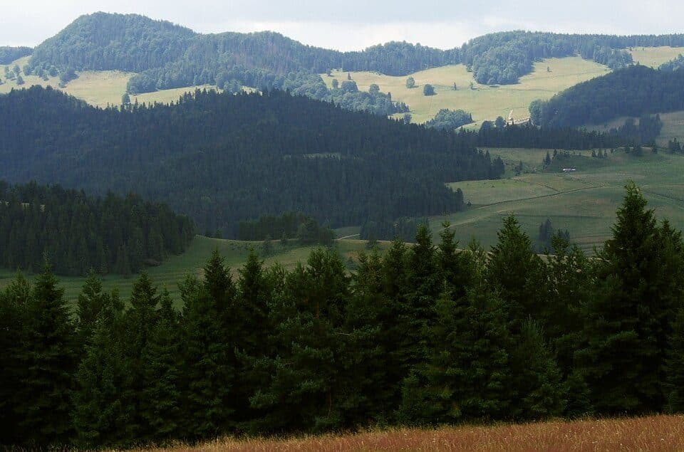 Kapralowa Wysoka
