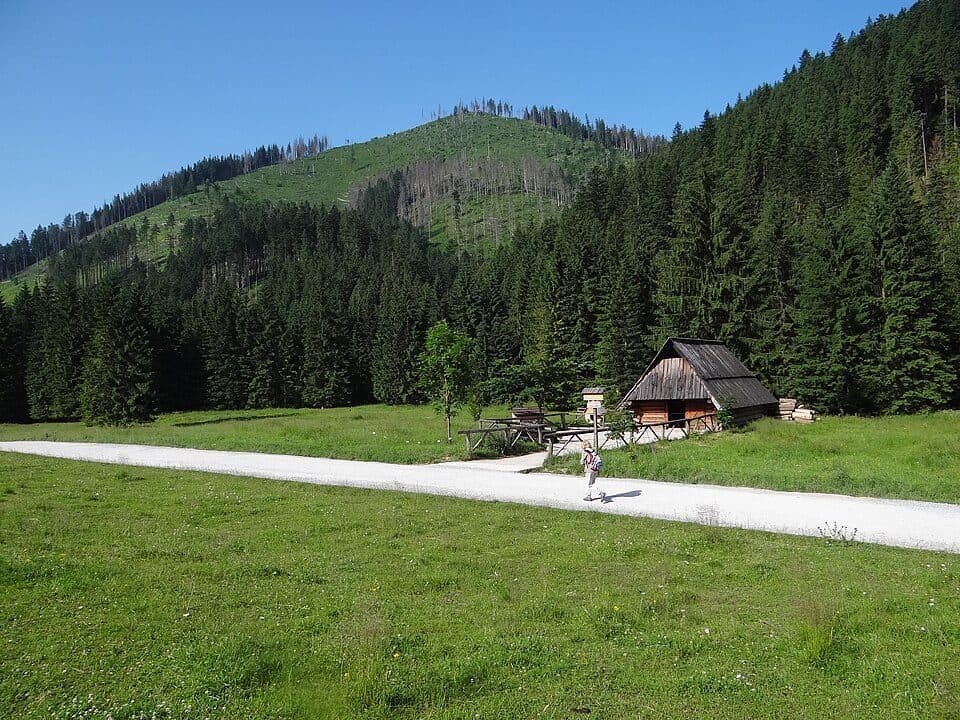 Kiry - Siwa Polana