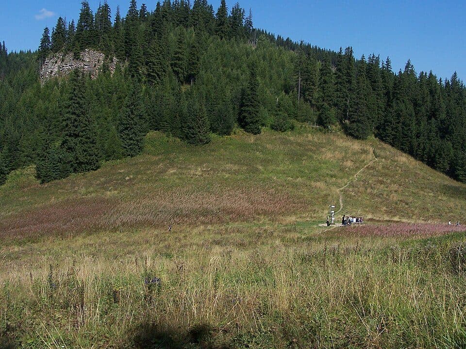 Gronik - Rówienki