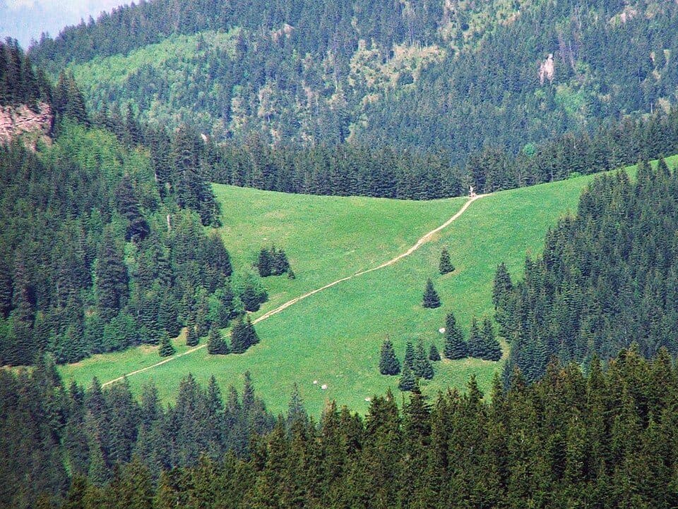 Nędzówka - Przysłop Miętusi