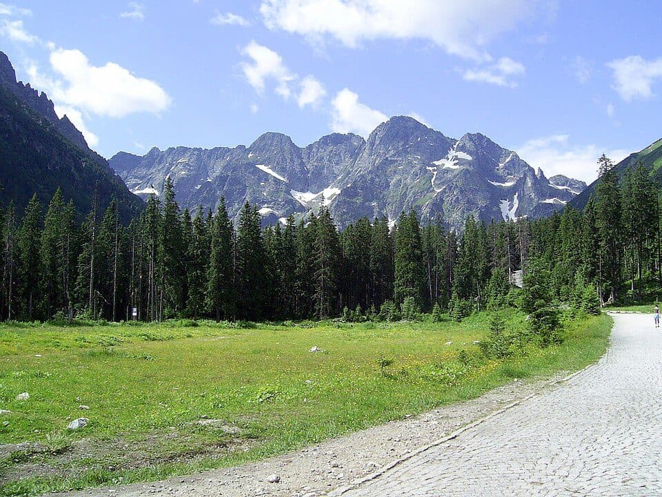 Włosienica