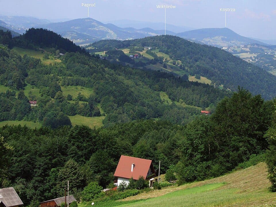 Korab (Pasmo Łososińskie) — zdjęcie 2