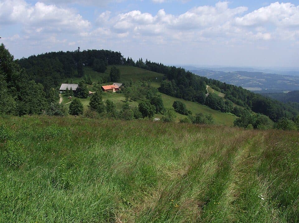 Korab (Pasmo Łososińskie)