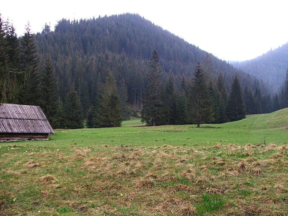 Dolina Dudowa - Leśniczówka Chochołowska