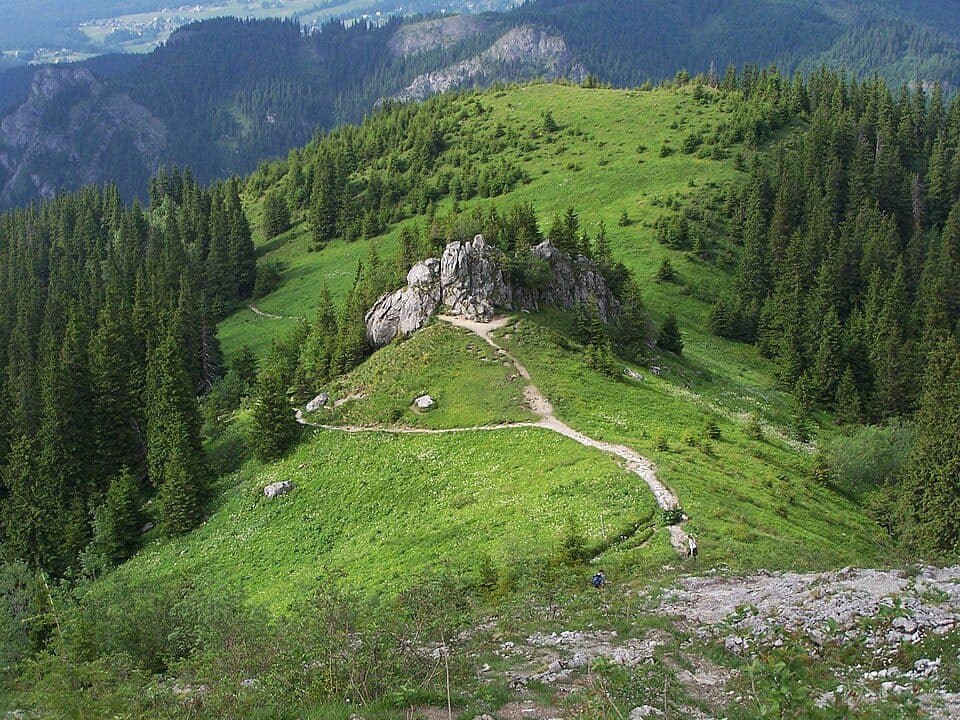 Gronik - Rówienki
