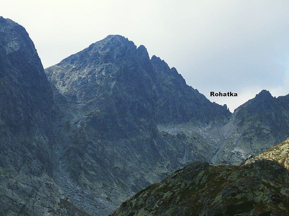 Rohatka