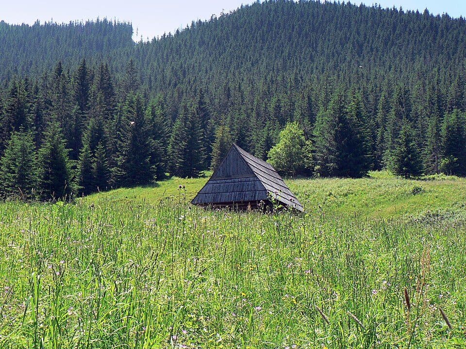 Nosalowa Przełęcz — zdjęcie 3