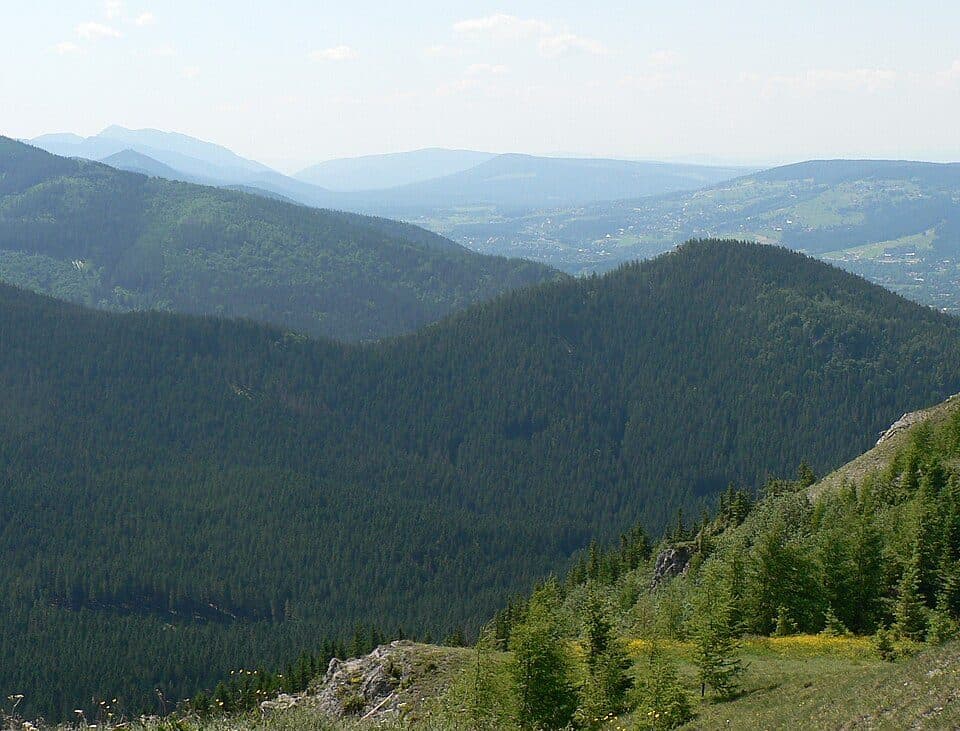 Przełęcz Nosalowa - Olczyska Polana