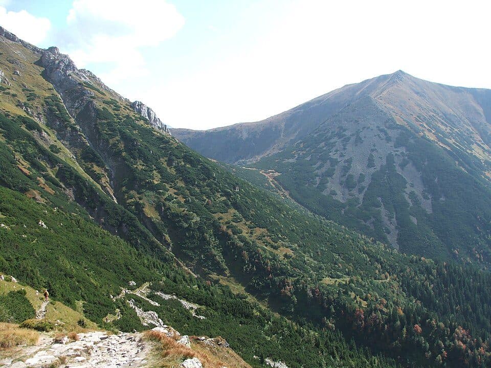 Tomanowa Przełęcz — zdjęcie 3