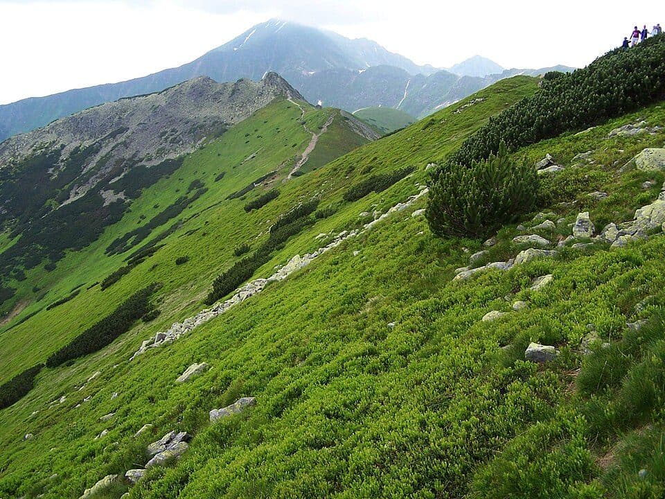 Ornaczańska Przełęcz