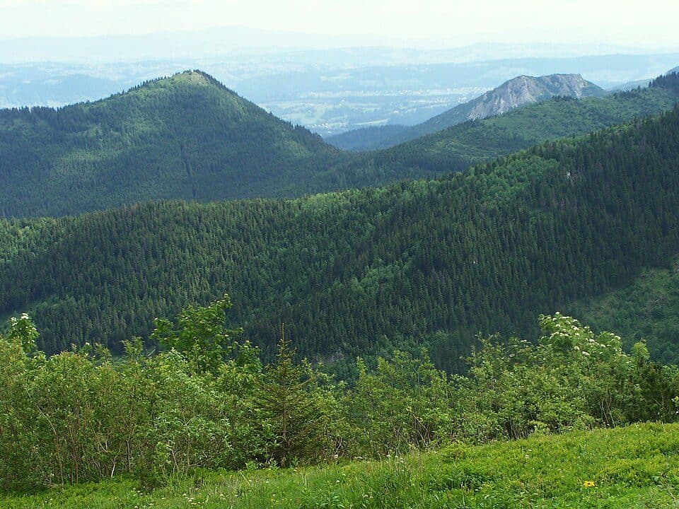 Gronik - Przysłop Miętusi